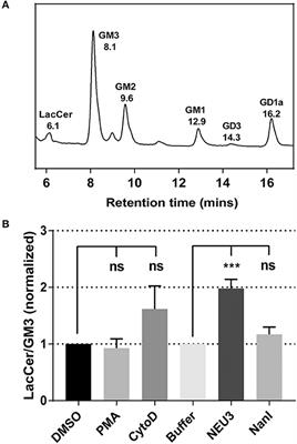 Neuraminidase-3 Is a Negative Regulator of LFA-1 Adhesion